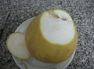 Помело